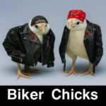 IVHOG Chapter Meeting Notes – Dec-2025