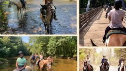 LOH Horseback Riding
